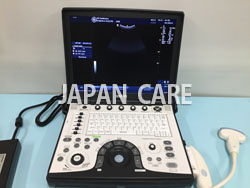 GE Portable Ultrasound LOGIQ-e ( YOM 2015, Convex and Linear Probes)